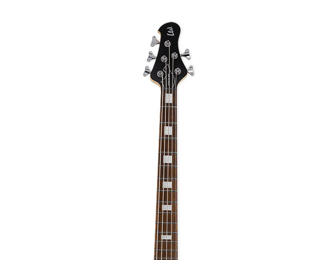 5 String Bass Guitar F8704