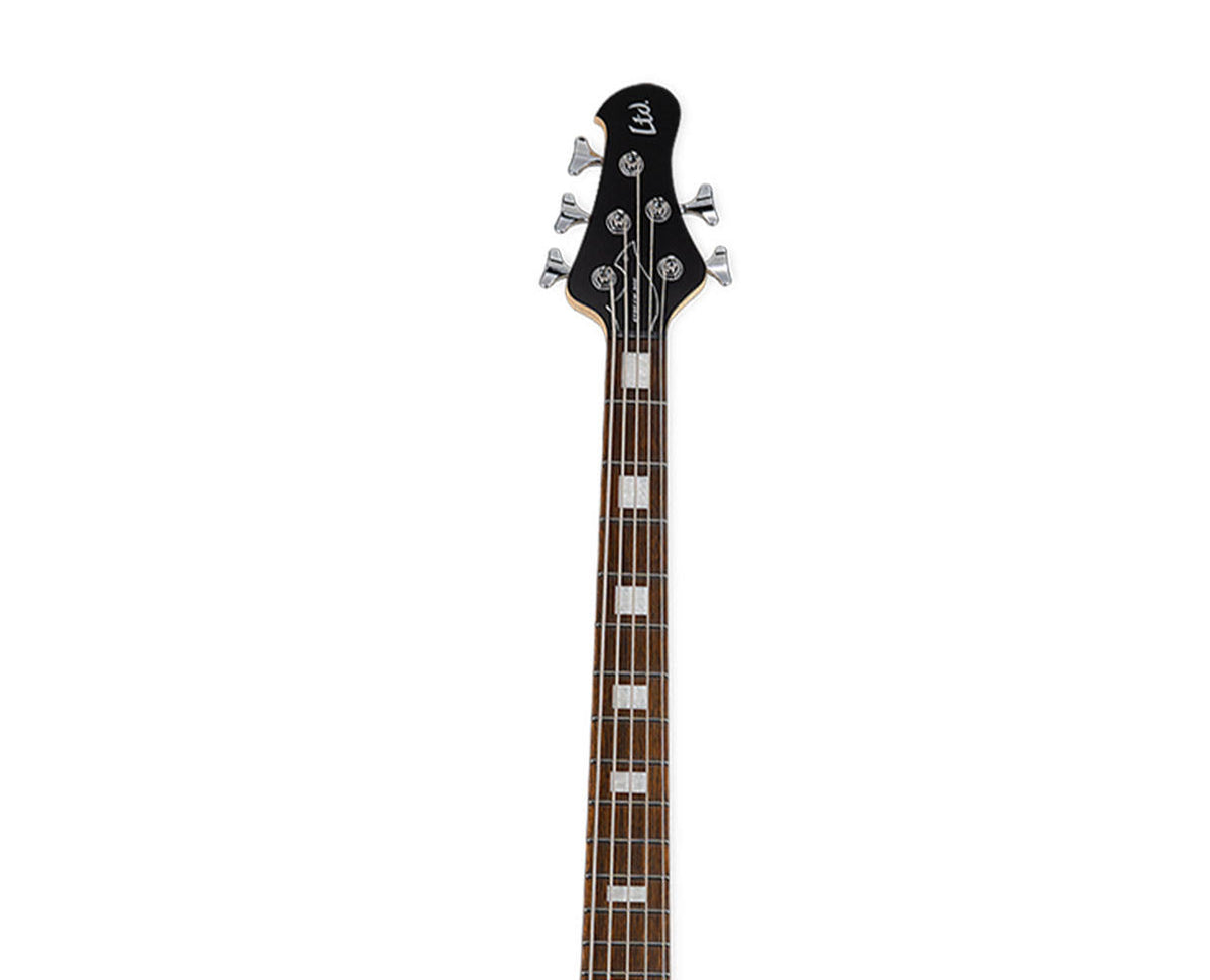 5 String Bass Guitar F8704