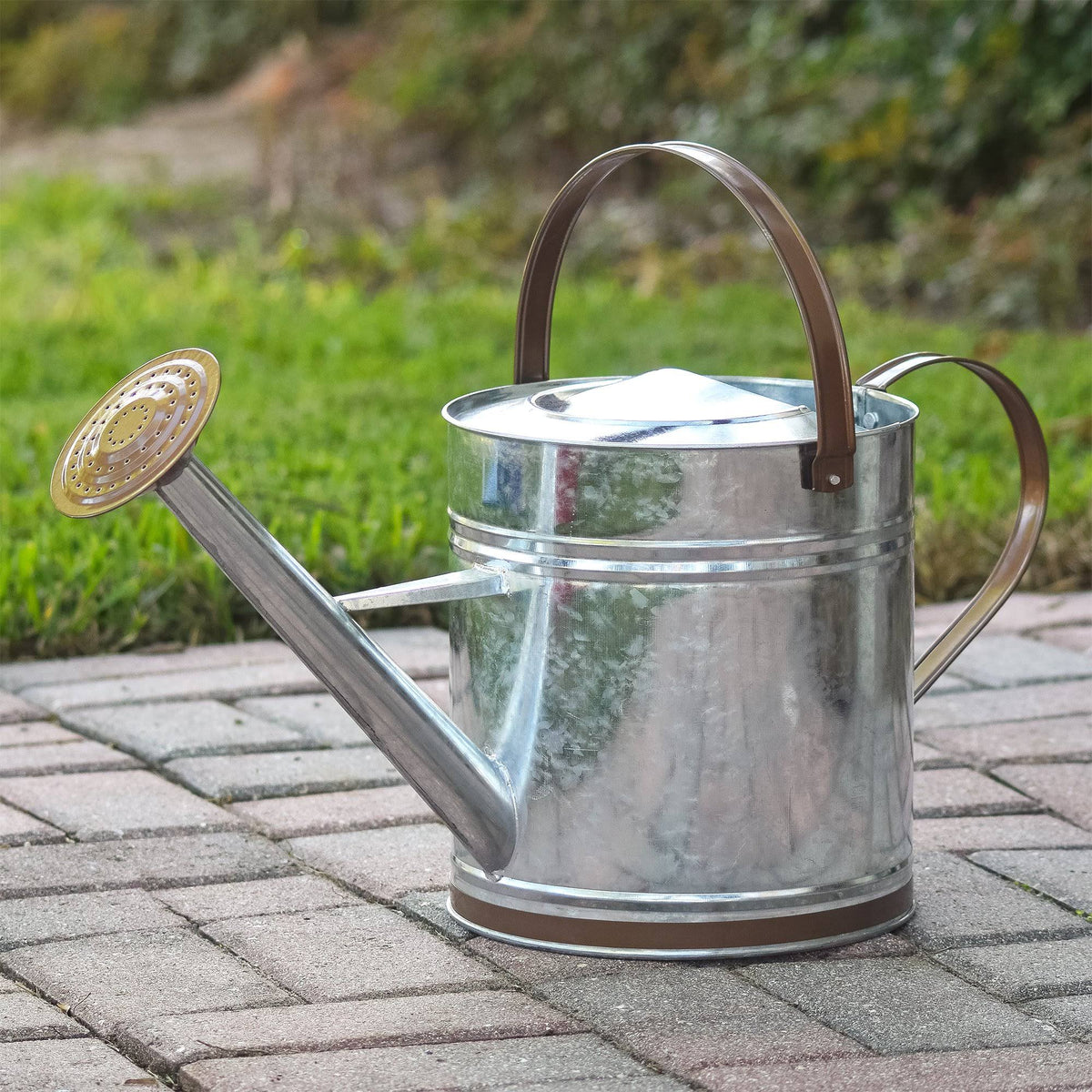 Bronze Metal Watering Can X33888