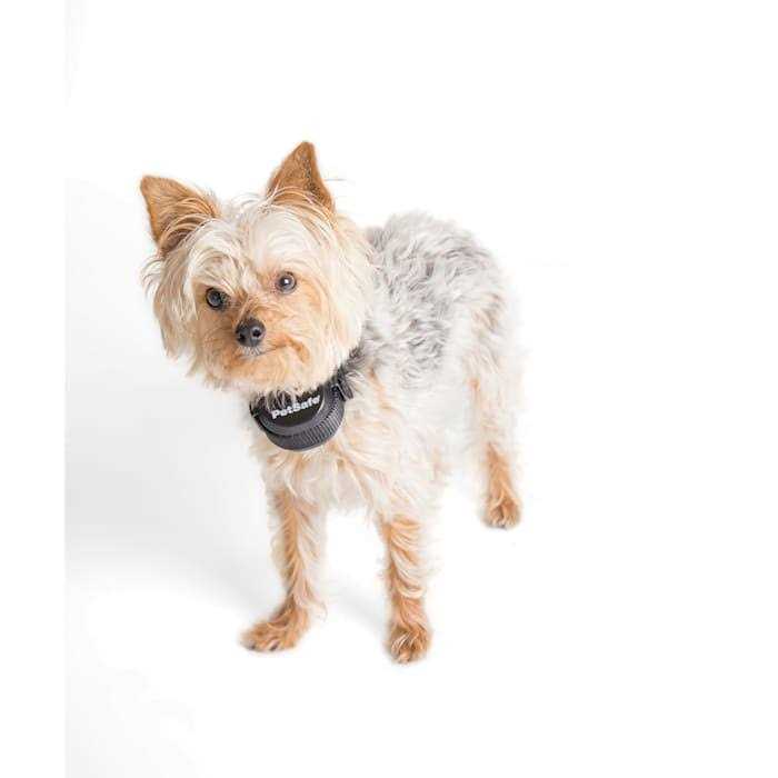 Rechargeable Receiver Collar L6504
