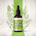 Stone Breaker Blend Alcohol-FREE Extract Tincture 2 oz F261758