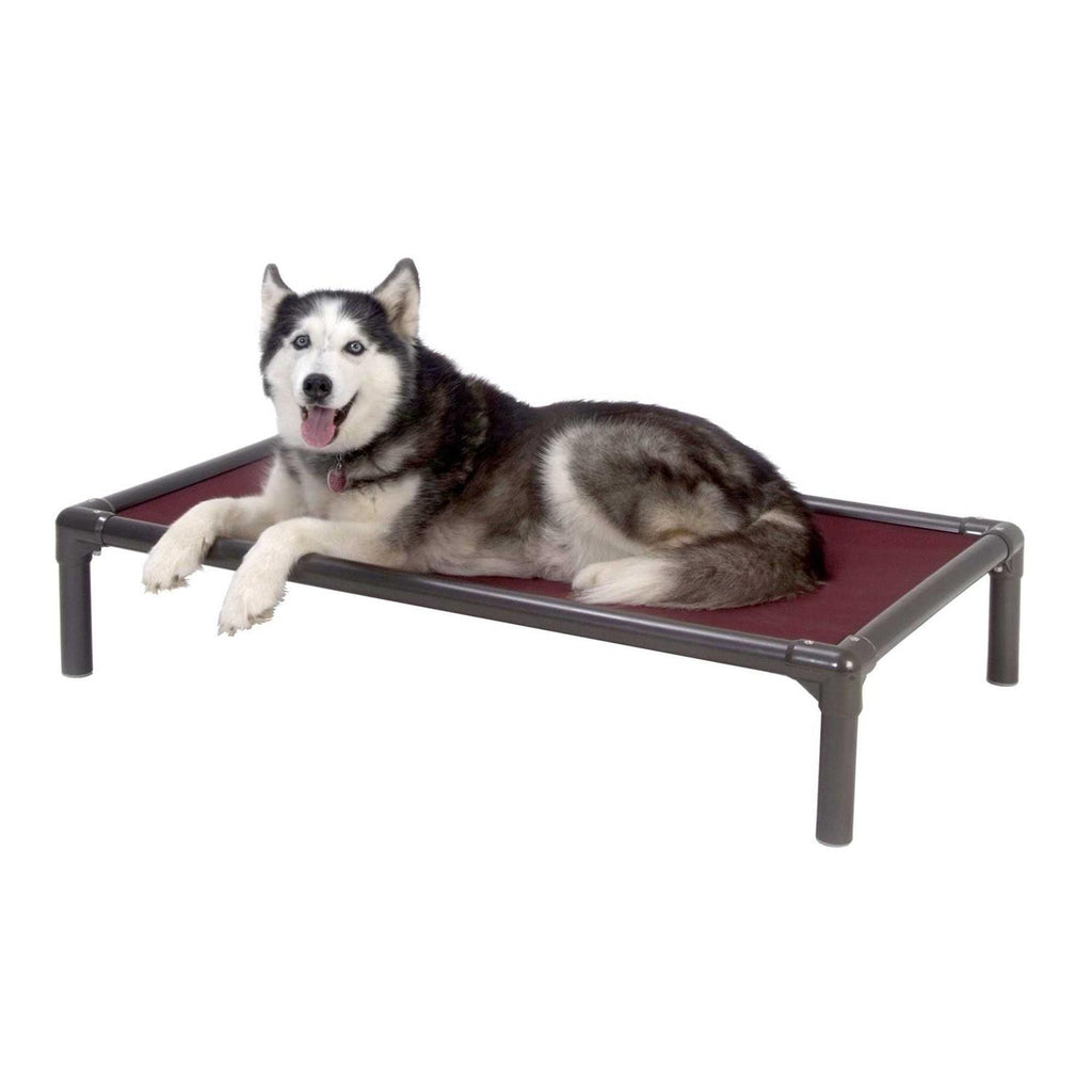 Walnut PVC Chewproof Dog Bed J563140
