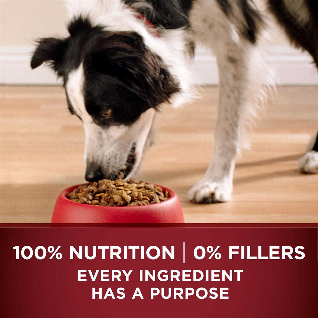 Dry Dog Food D412424
