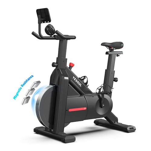 Self-Powered Exercise Bike with Magnetic Resistance W227306
