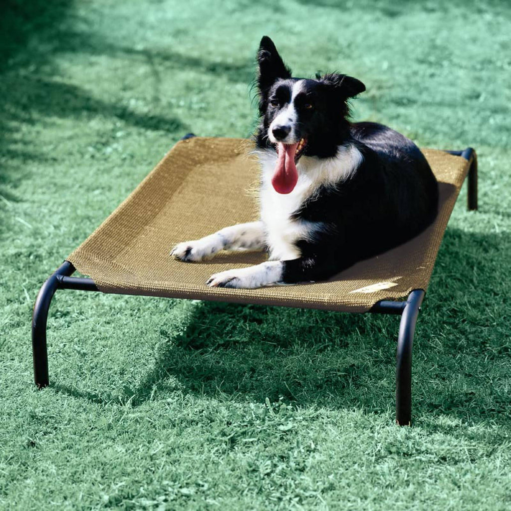 Elevated Pet Bed Desert Sand A5174