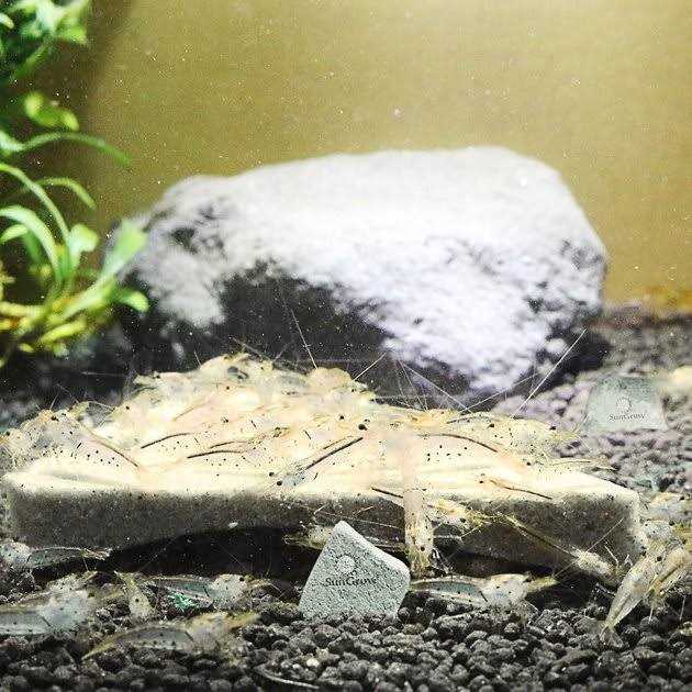 Shrimp Mineral Rocks for Molting L5472