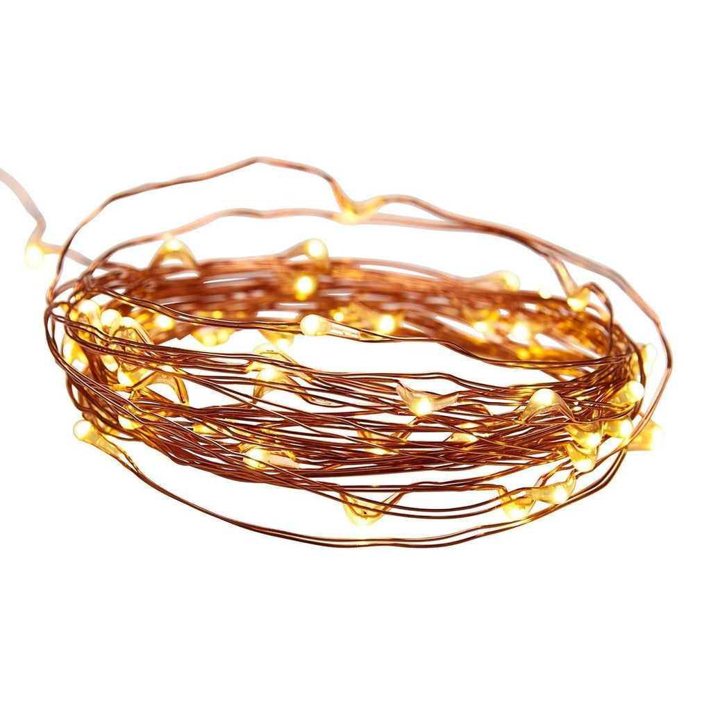 Warm White Copper Wire Lights with Remote J72160