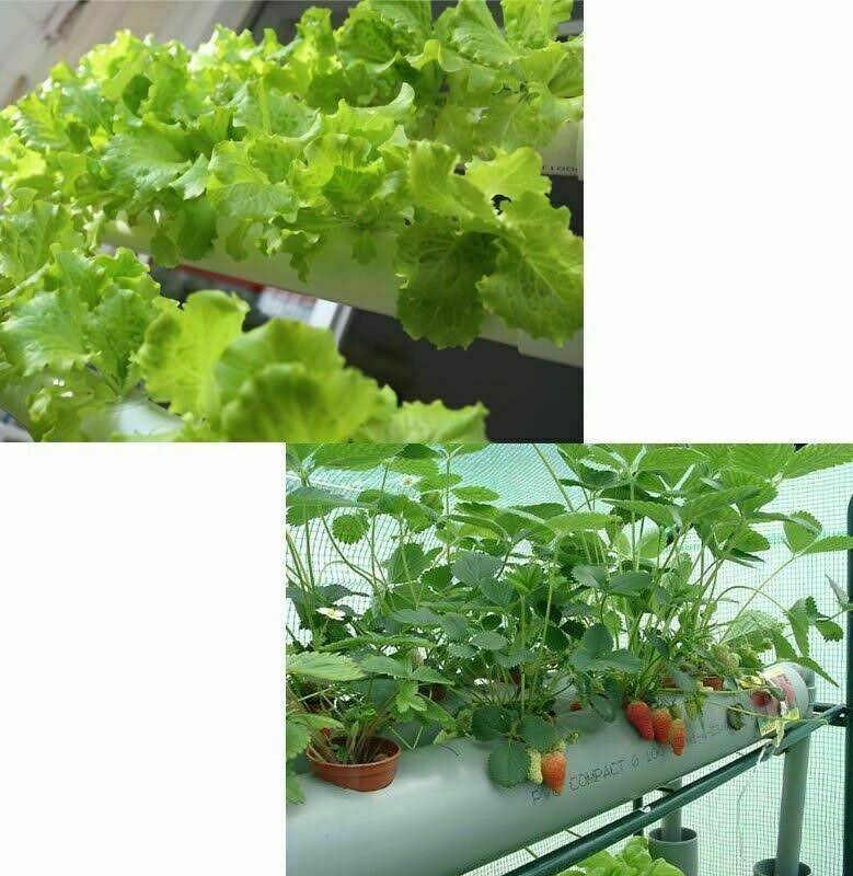 54 Plant Sites Hydroponic Grow Kit with 110V Pump R886