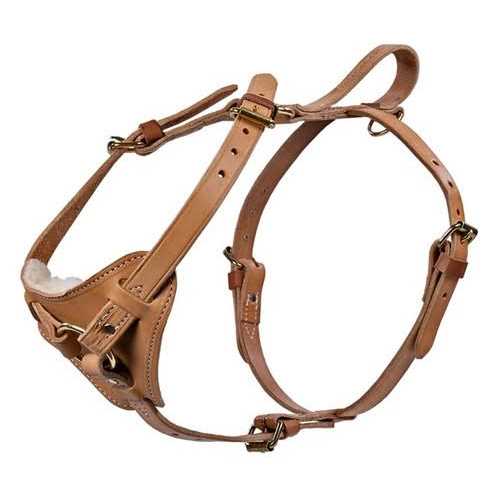Leather Tracking Harness M7059
