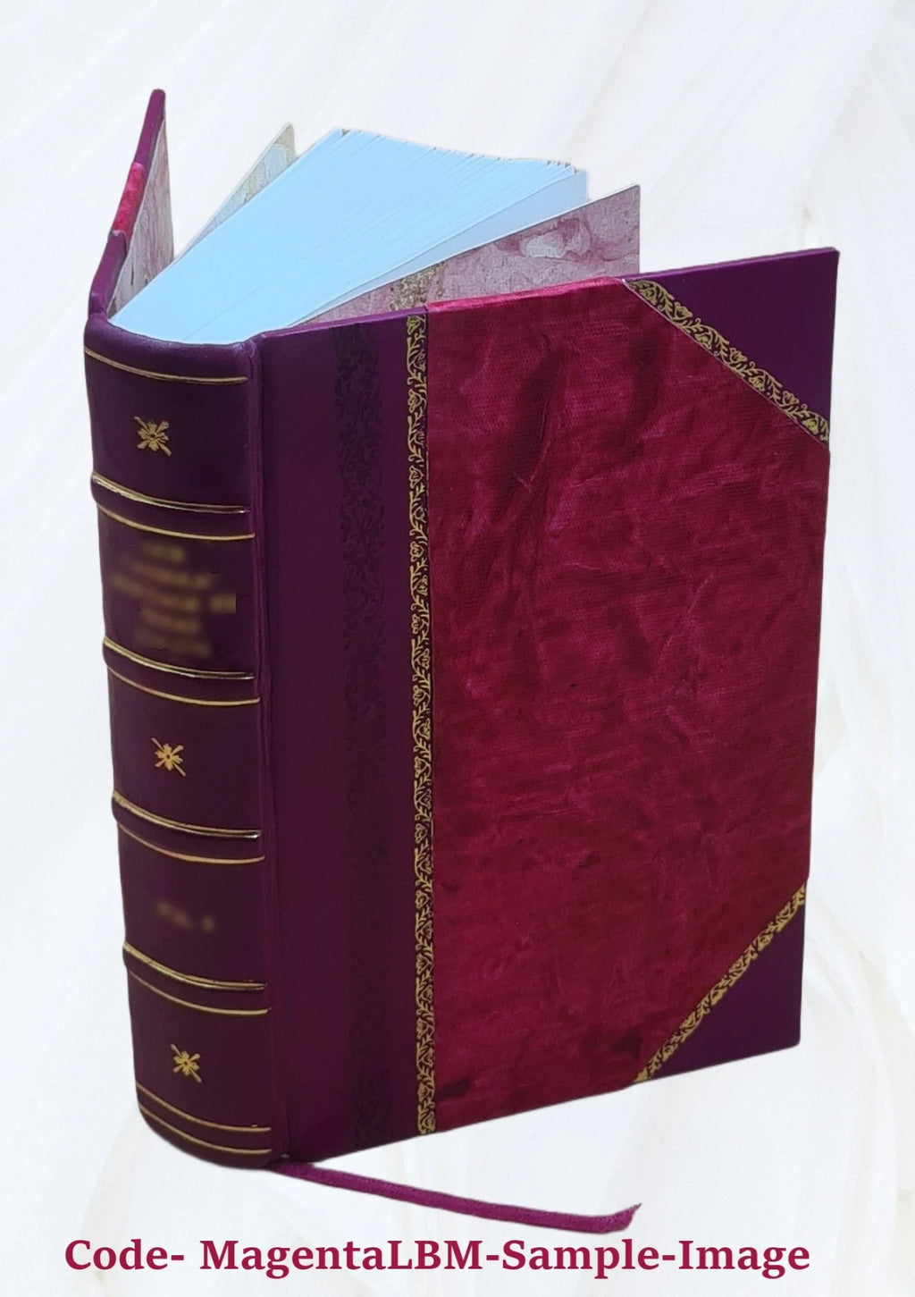 Leather Bound Book B66910