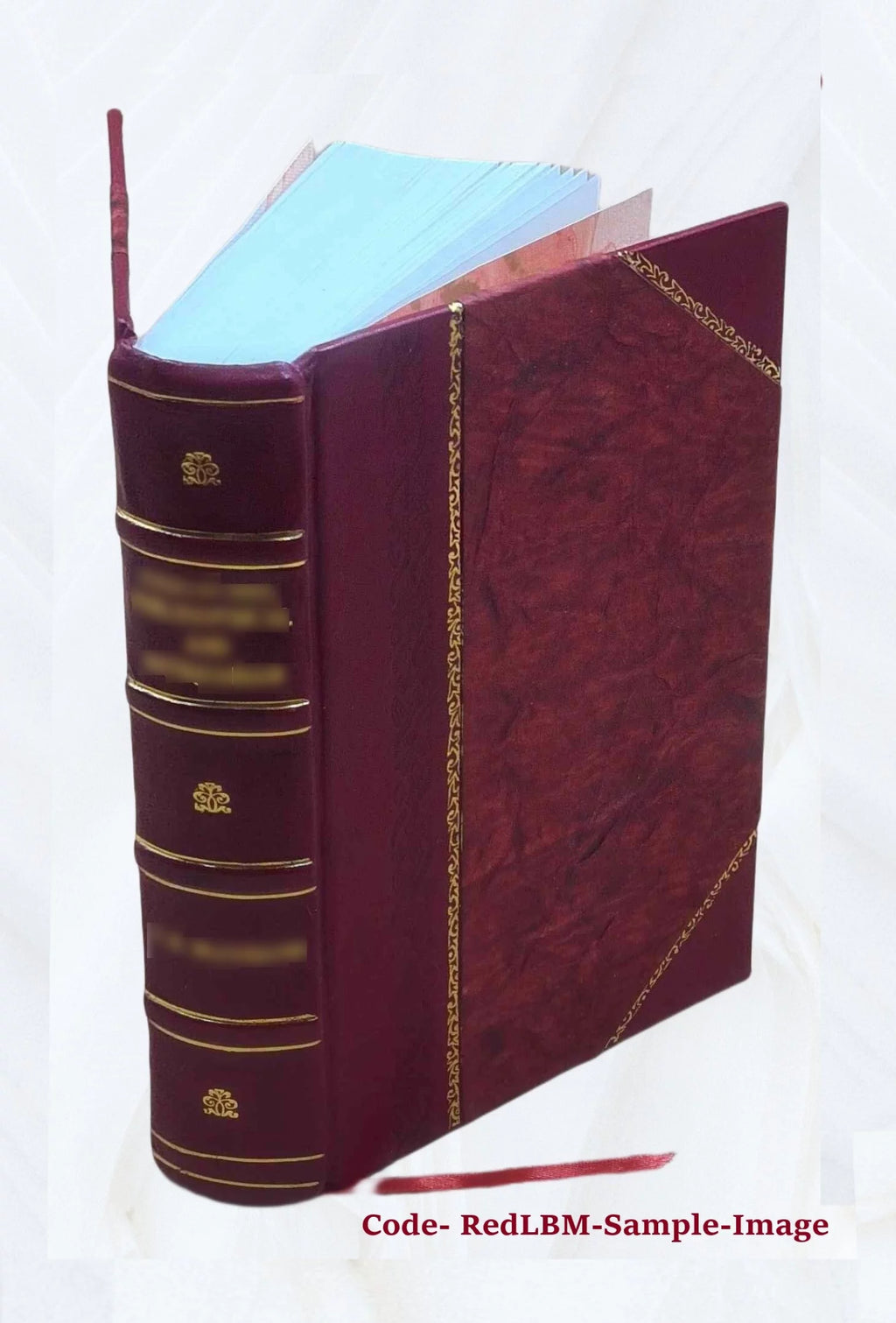 Leather Bound Book B66910