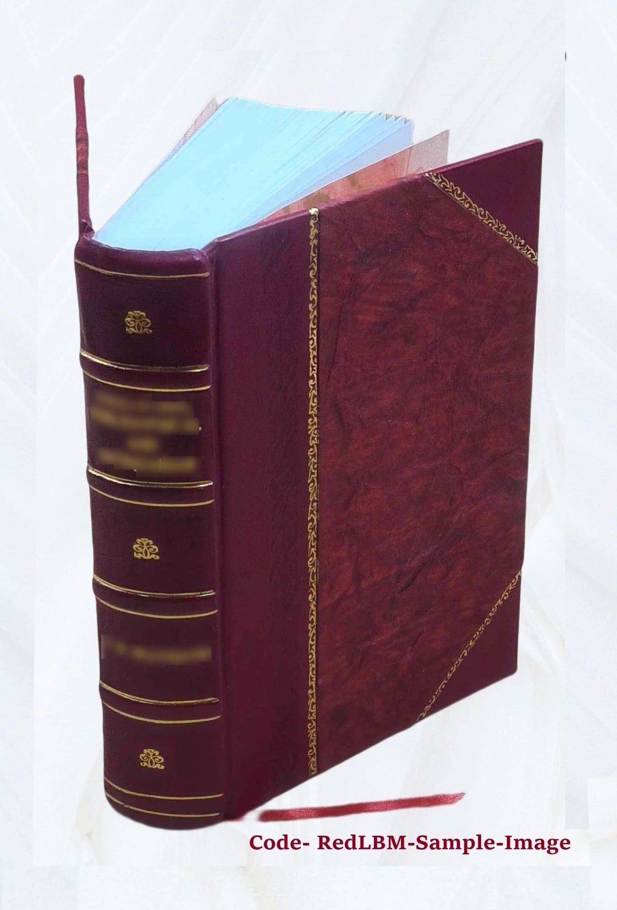 Leather Bound Book B66910