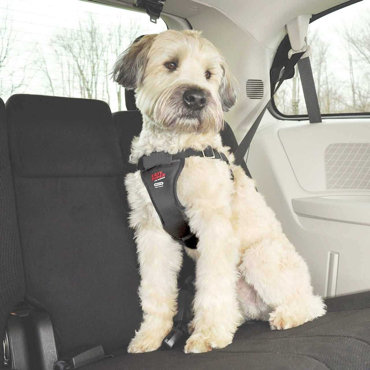 Easy Rider Car Harness F16120
