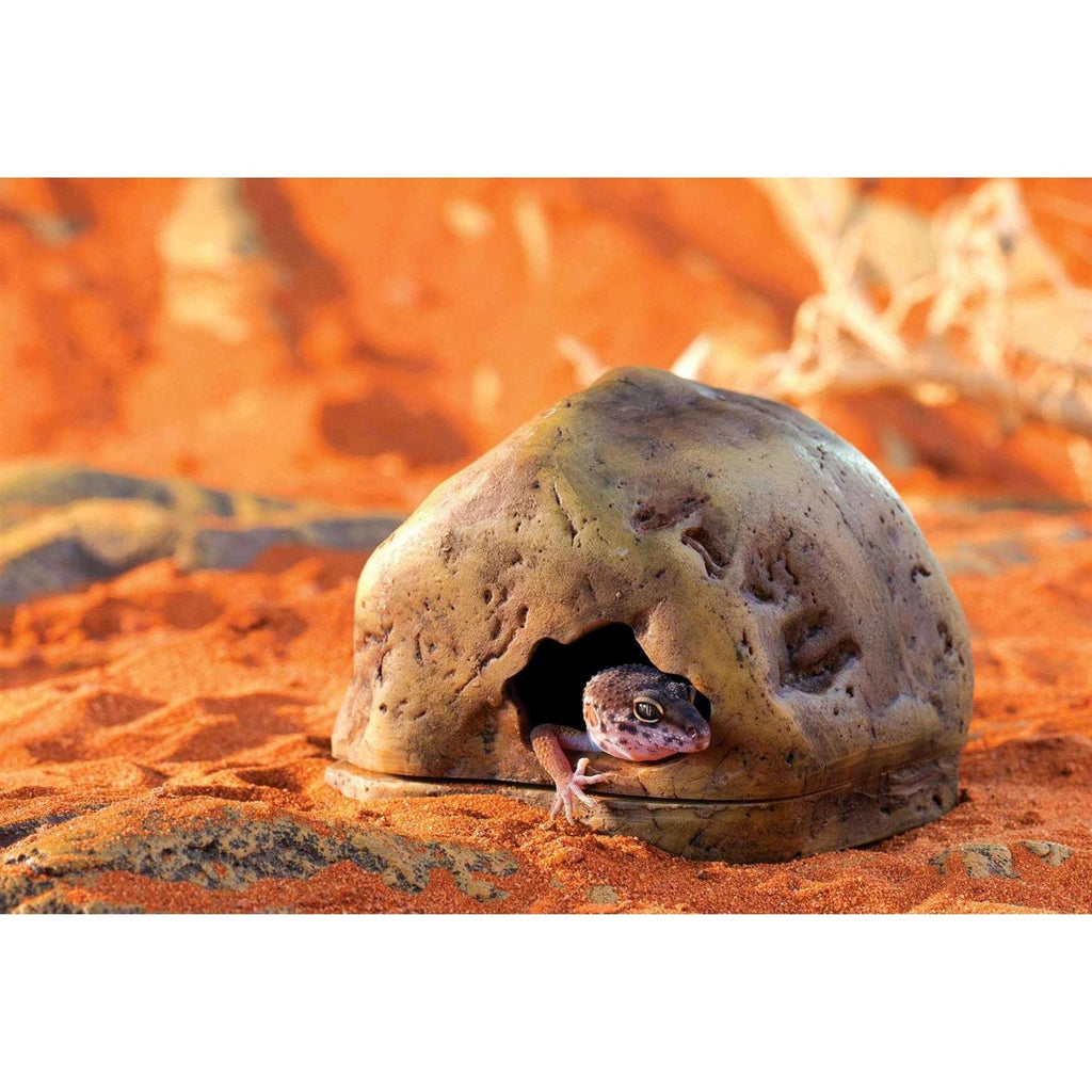 Gecko Cave J142995