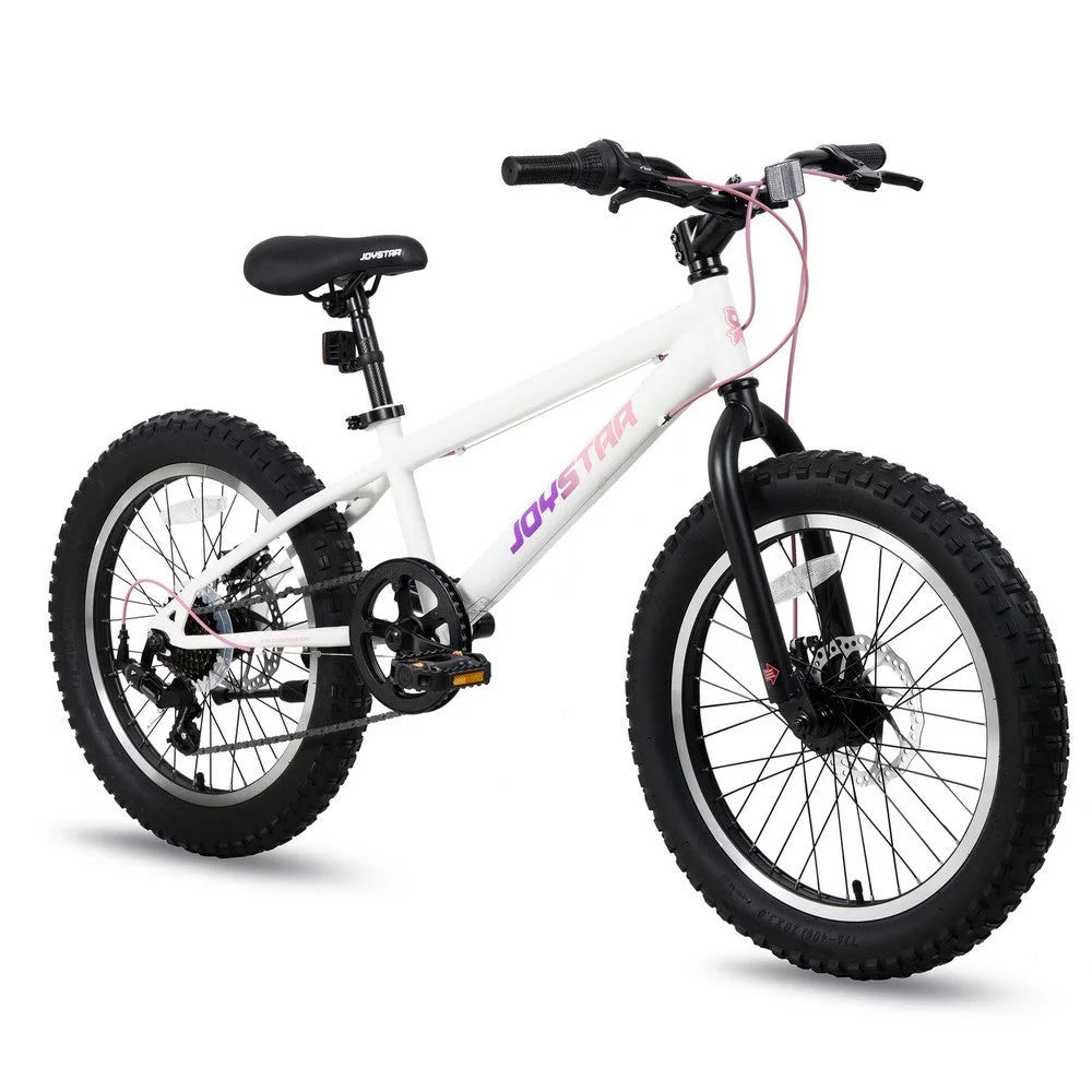 20 Inch 7 Speed Fat Tire Mountain Bike M80725
