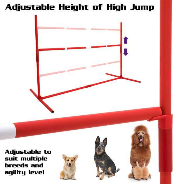 Dog 6 Piece Agility Kit L565460