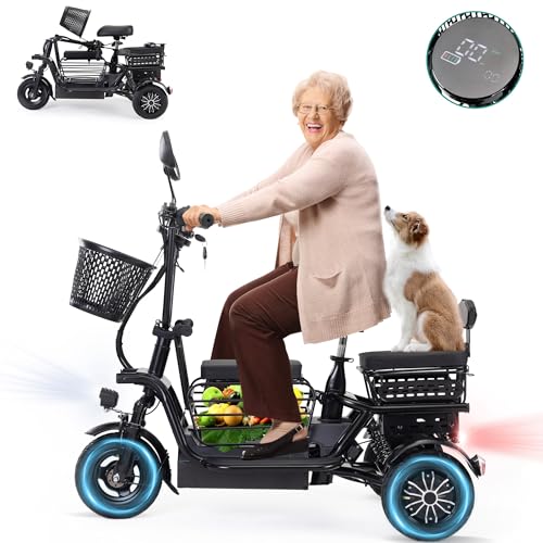 400W 48V Electric Tricycle with 3 Seats and Storage Baskets S893