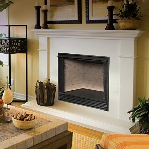 Dual Fuel Ventless Gas Firebox Insert with Mantle S32101