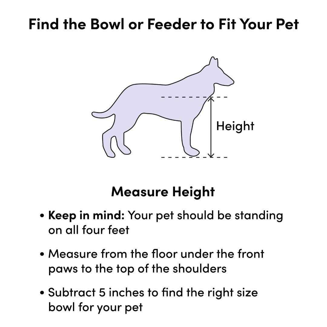 Pet Bowl F16293
