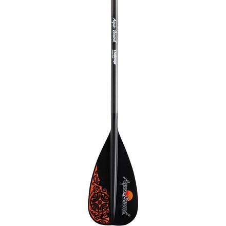 Carbon 2pc Adjustable Paddle F717