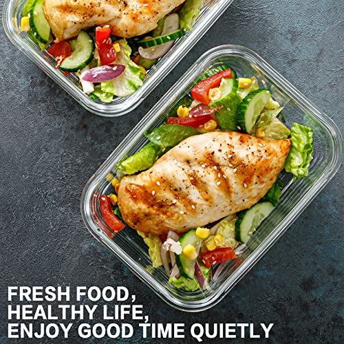 10 Pack Glass Meal Prep Containers with Lids G21967