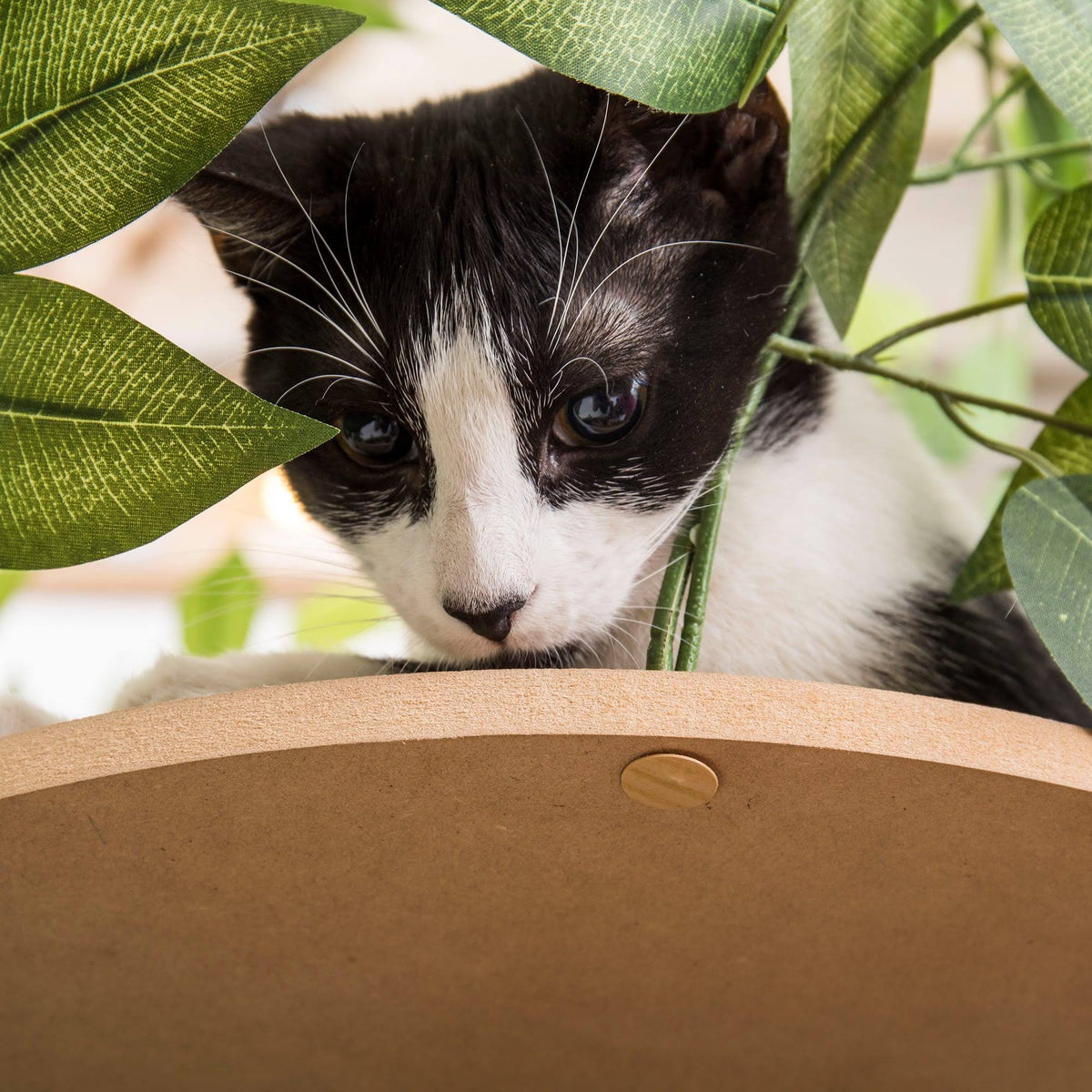 24 in. Square Cat Tree J231