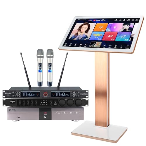22-inch Touch Screen Karaoke Player with Wireless Microphone F418