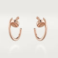 Earrings H506