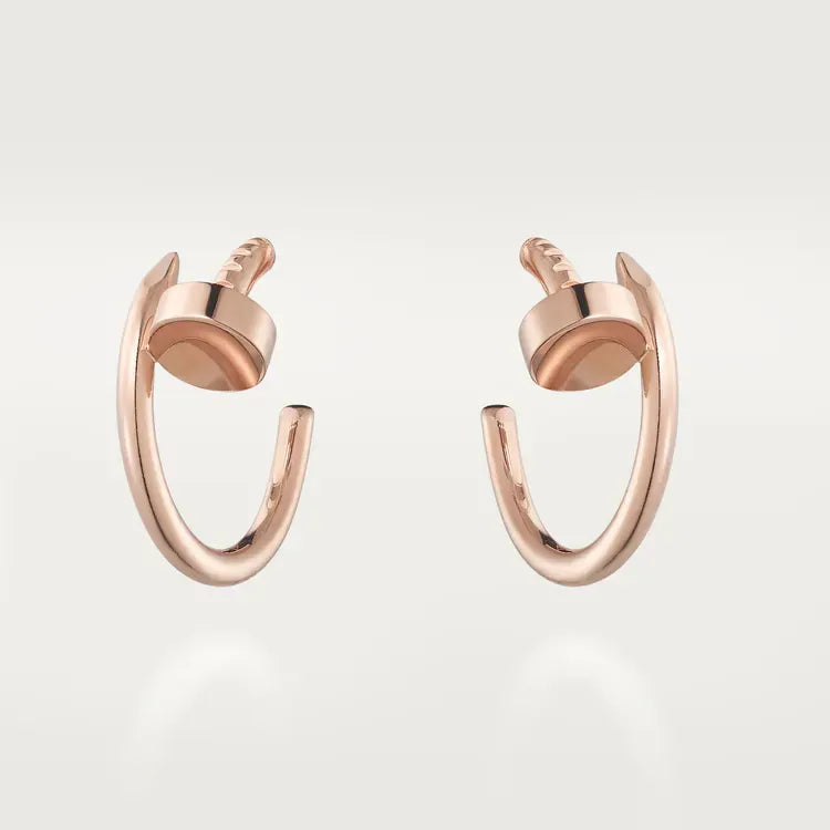 Earrings H506