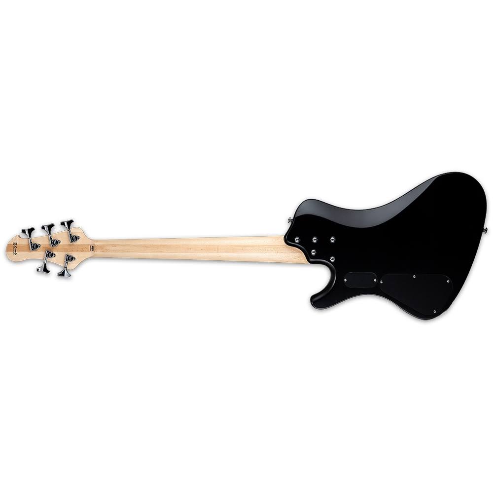 5 String Bass Guitar F8704