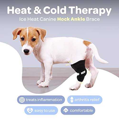 Canine Heat Cold Therapy Dog Leg Wrap F19473