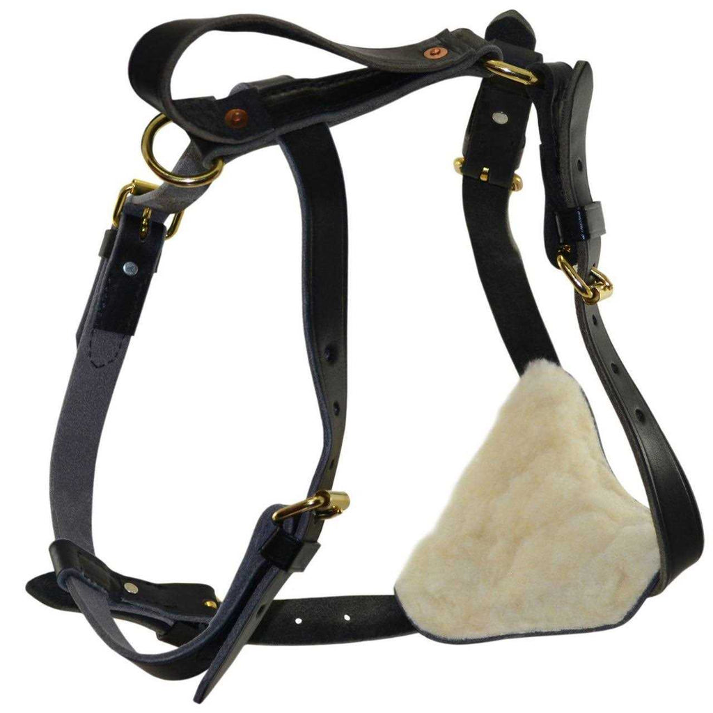 Leather Tracking Harness M7059