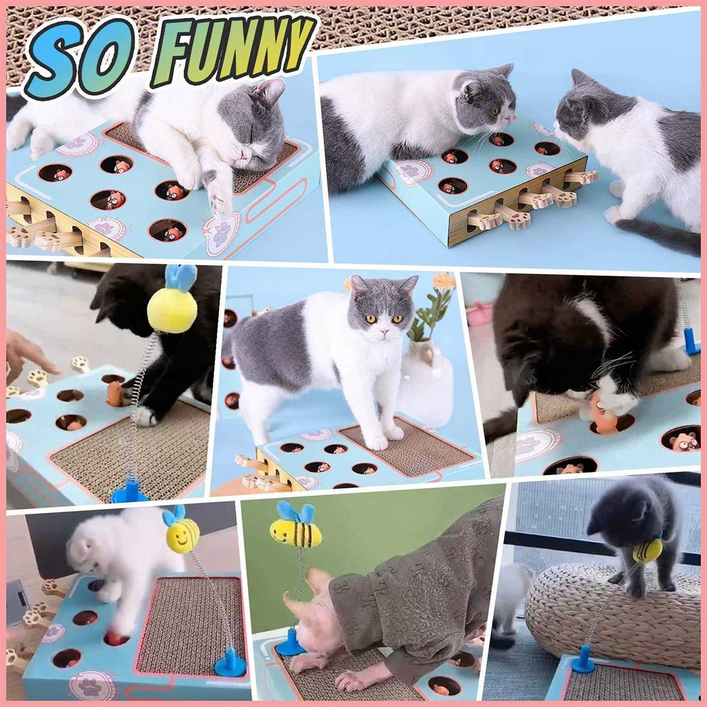 Cat Enrichment Toys with Cat Scratching Pad O592986