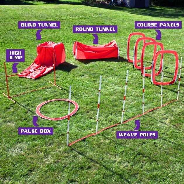 Dog 6 Piece Agility Kit L565460