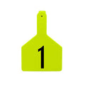 Chartreuse Calf Ear Tags (25 Pack) E357953