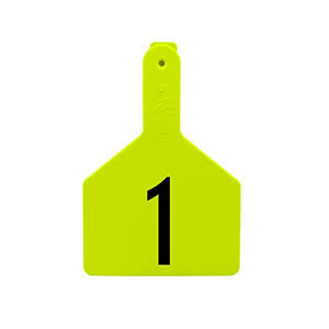 Chartreuse Calf Ear Tags (25 Pack) E357953