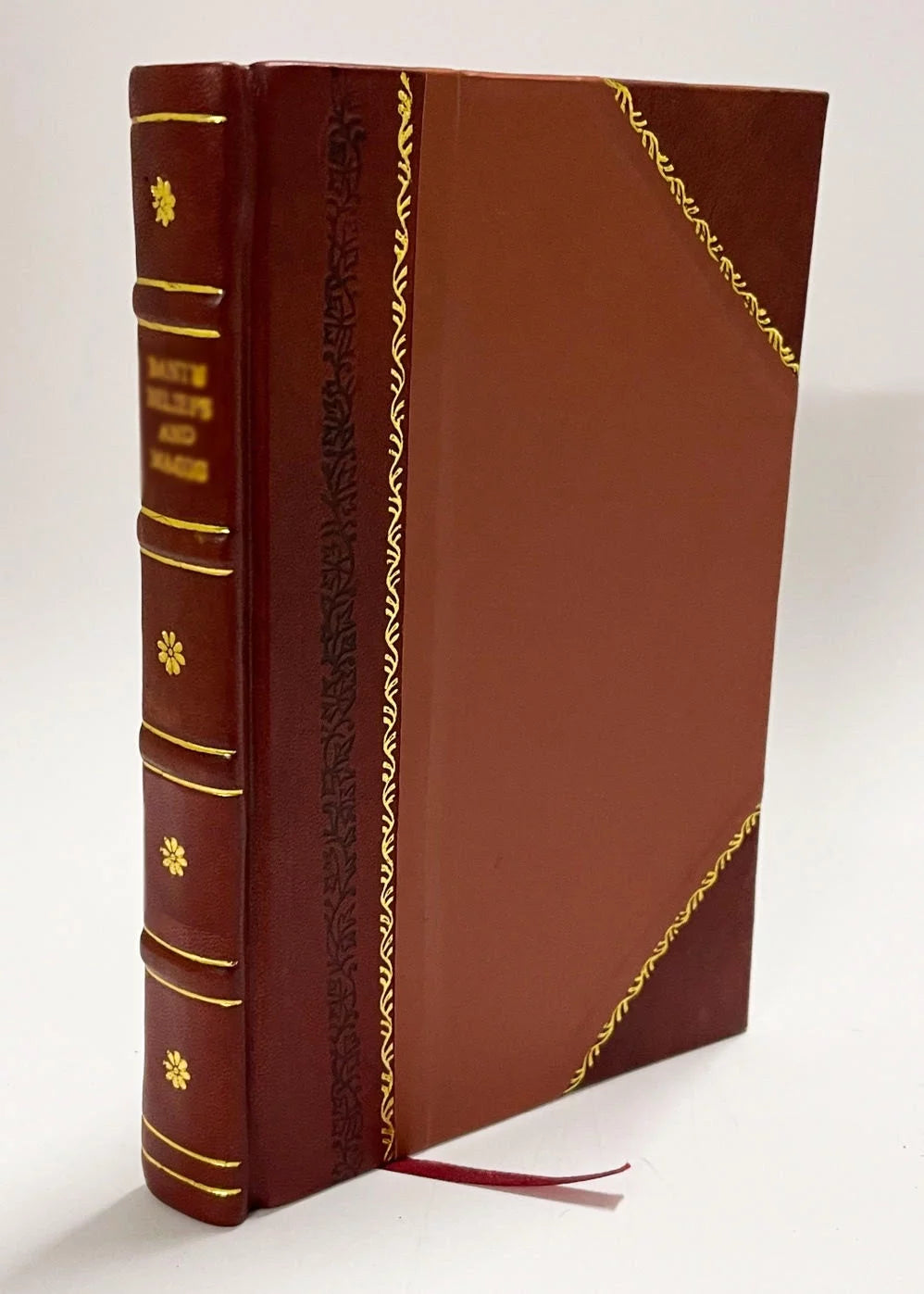 In Omnes Epistolas Quadragesimales Homiliae Leather Bound U64476