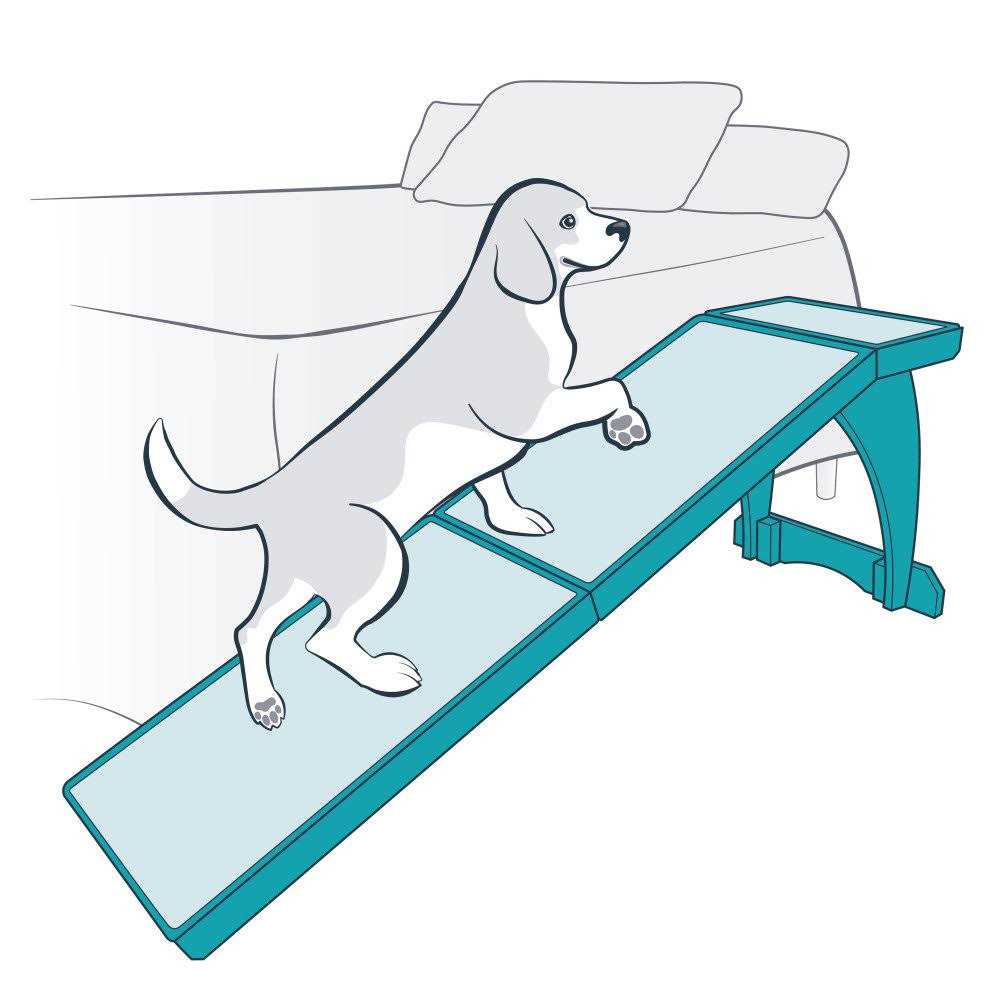 Bed Ramp Y581384