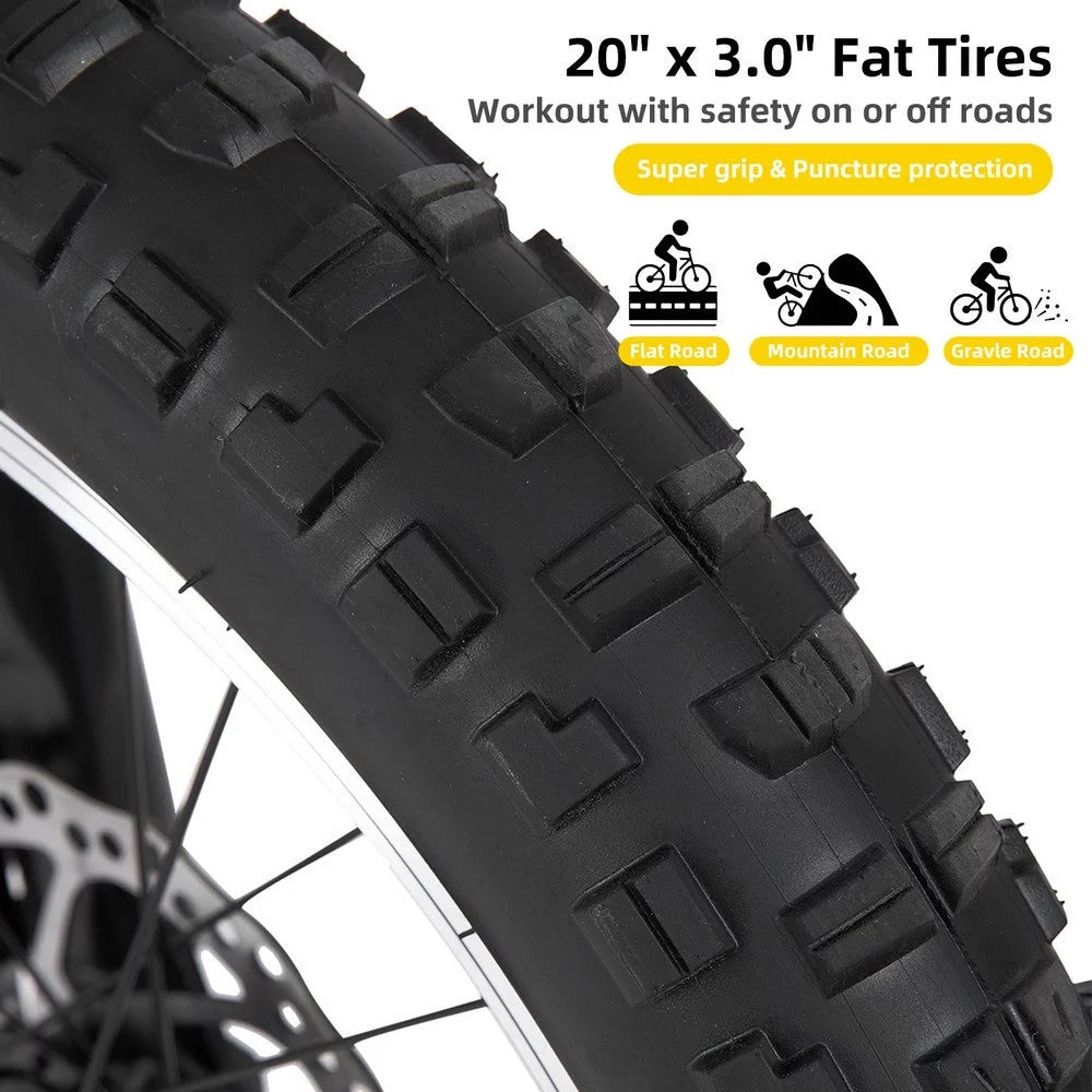 20 Inch 7 Speed Fat Tire Mountain Bike M80725
