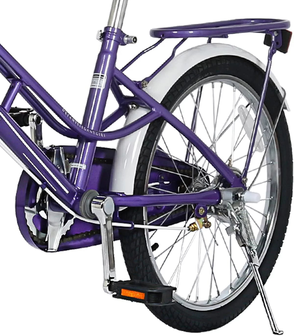 Kids 20 inch Bike with Hand Brake and Kickstand, Pink E855