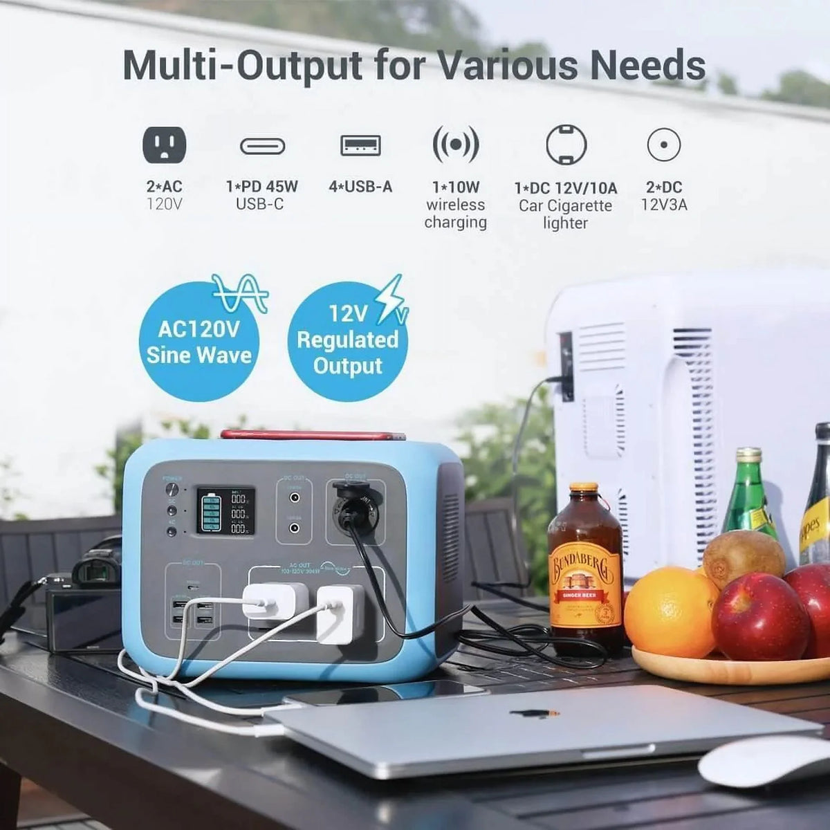 500Wh 300W Portable Power Station D1494