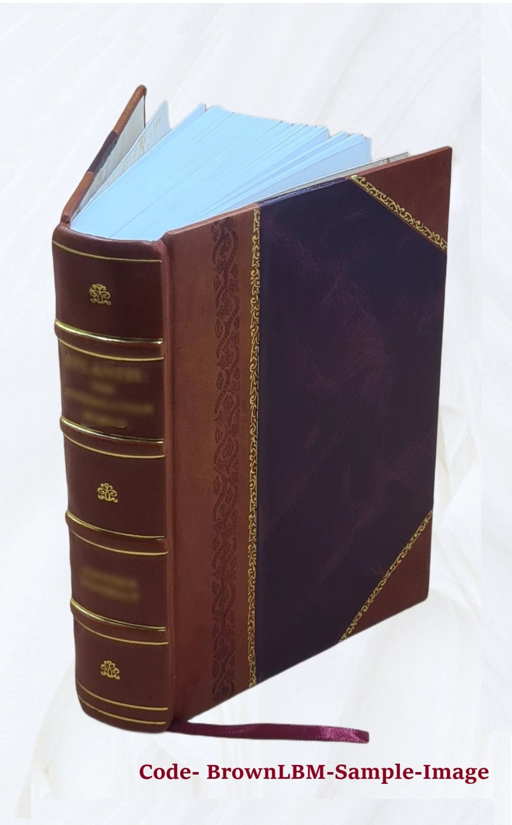 Leather Bound Book B66910