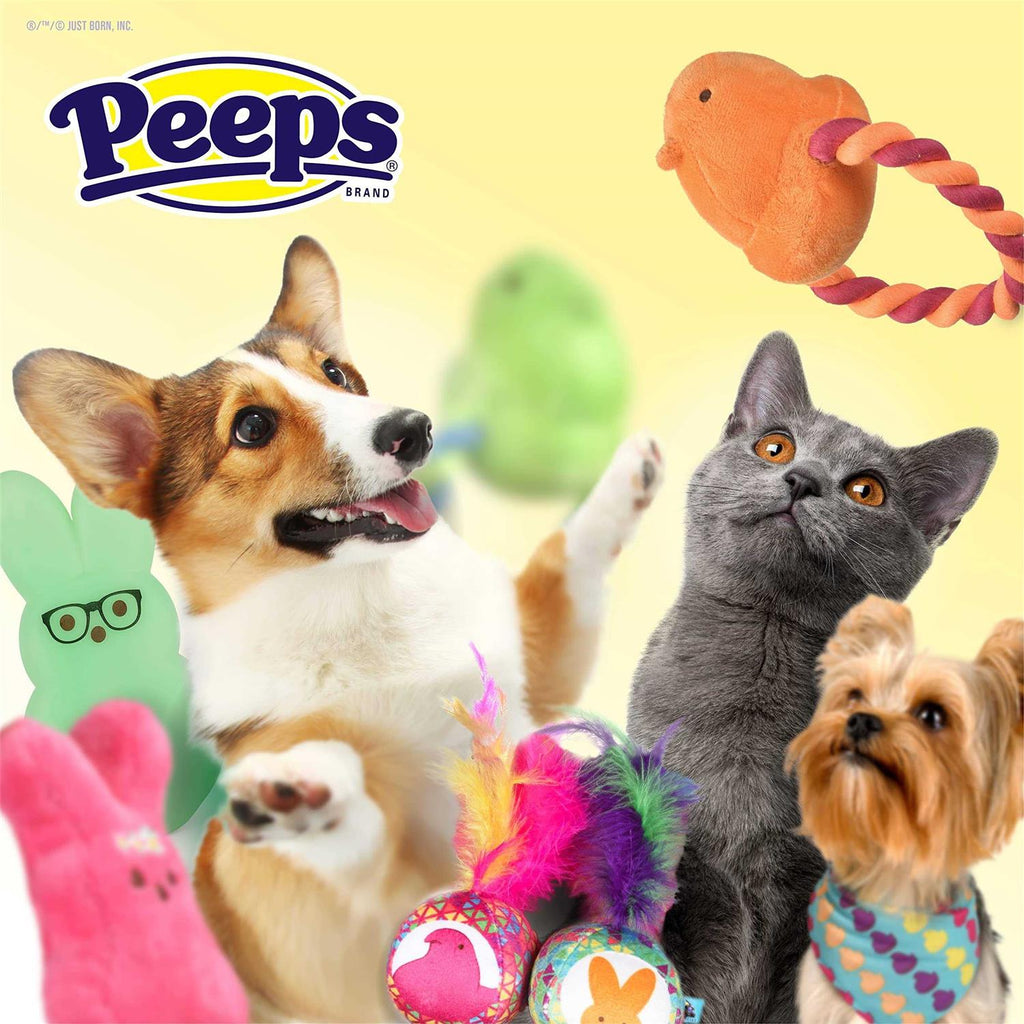 Dog Toy K8989
