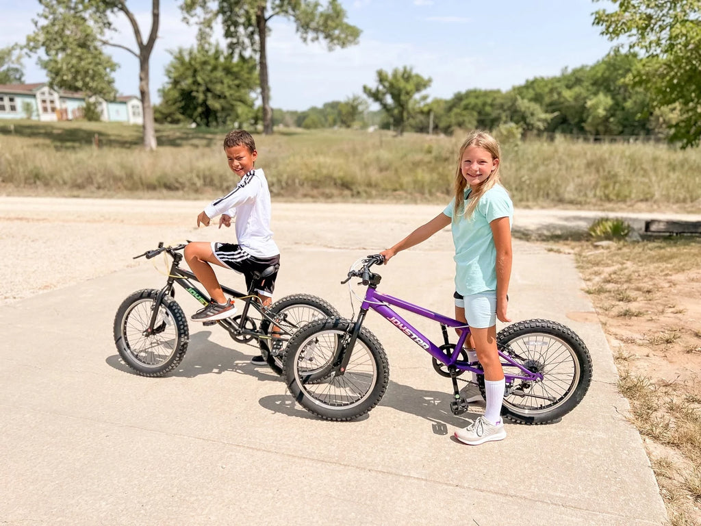 20 Inch 7 Speed Fat Tire Mountain Bike M80725
