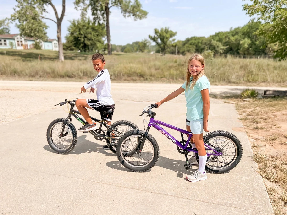 20 Inch 7 Speed Fat Tire Mountain Bike M80725