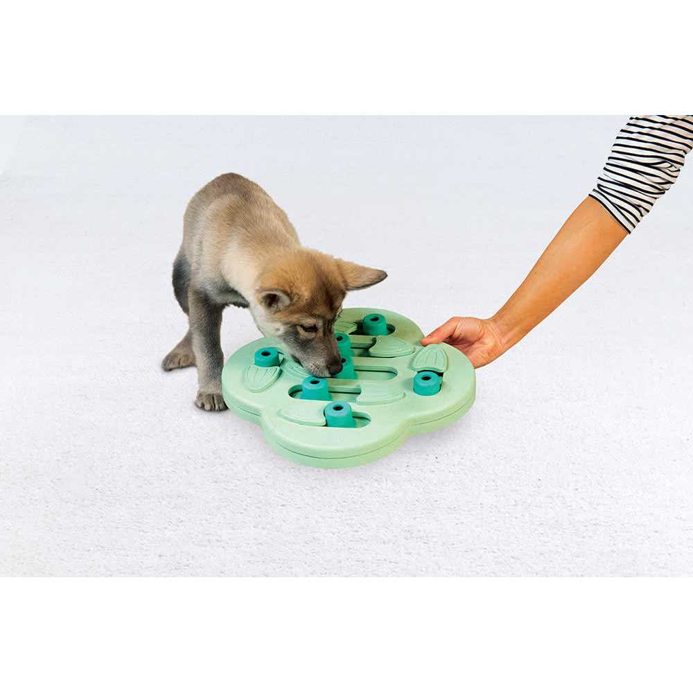 Interactive Treat Puzzle Dog Toy H838