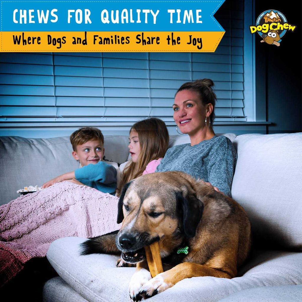 Natural Handmade Yak Cheese Dog Chew N75542