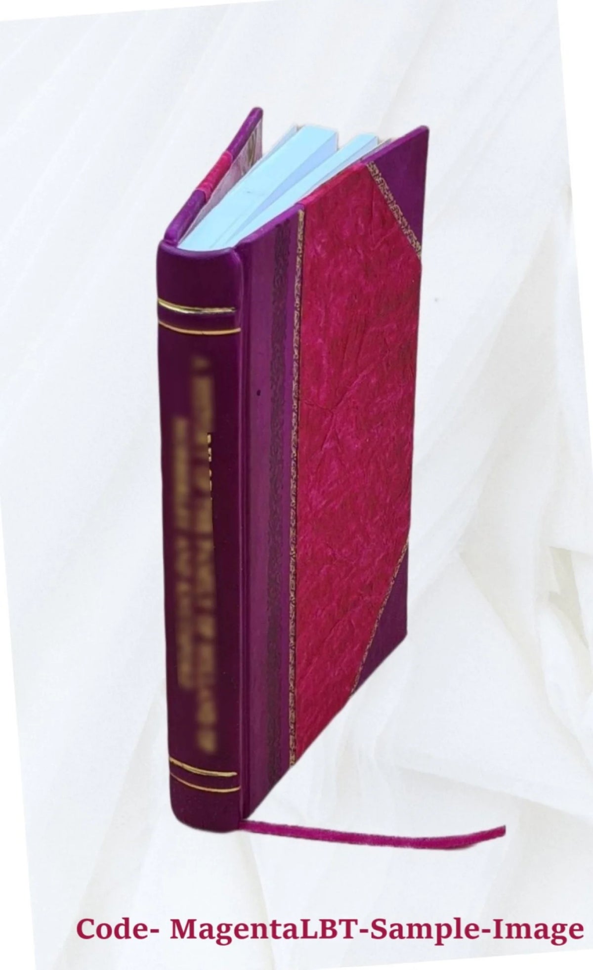 Roman Villas Architecture Leather Bound Q564