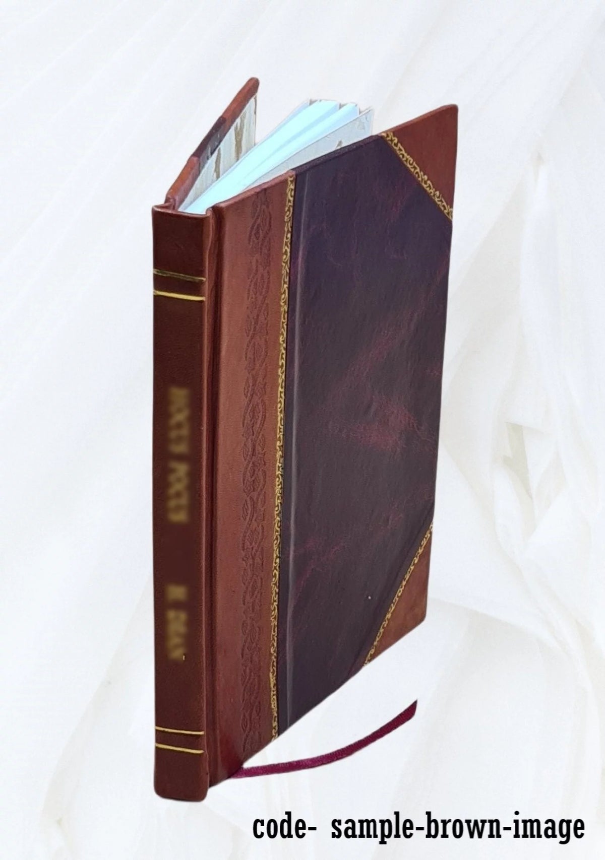 1856 Leather Book A997313