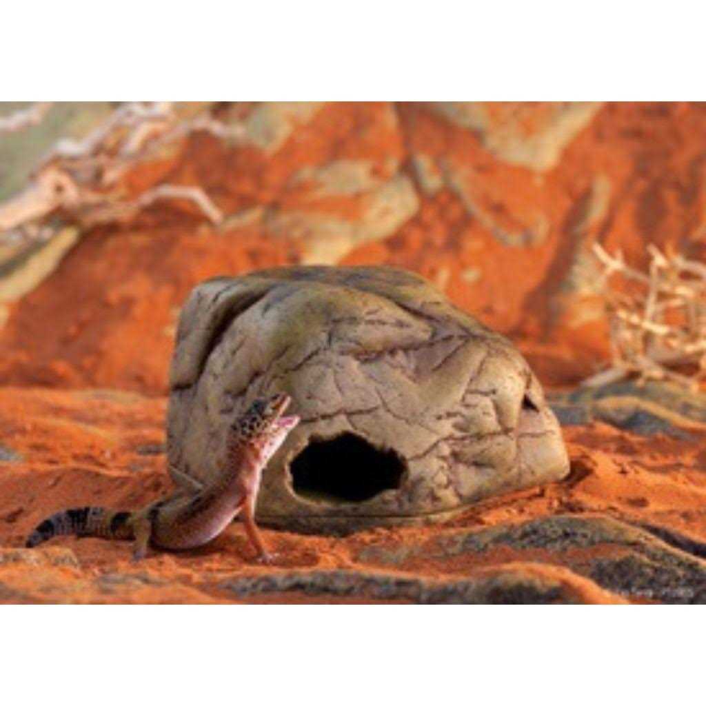 Gecko Cave J142995